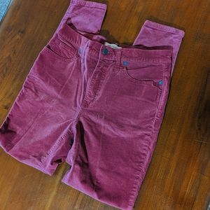 Madewell Velvet Maroon Pants